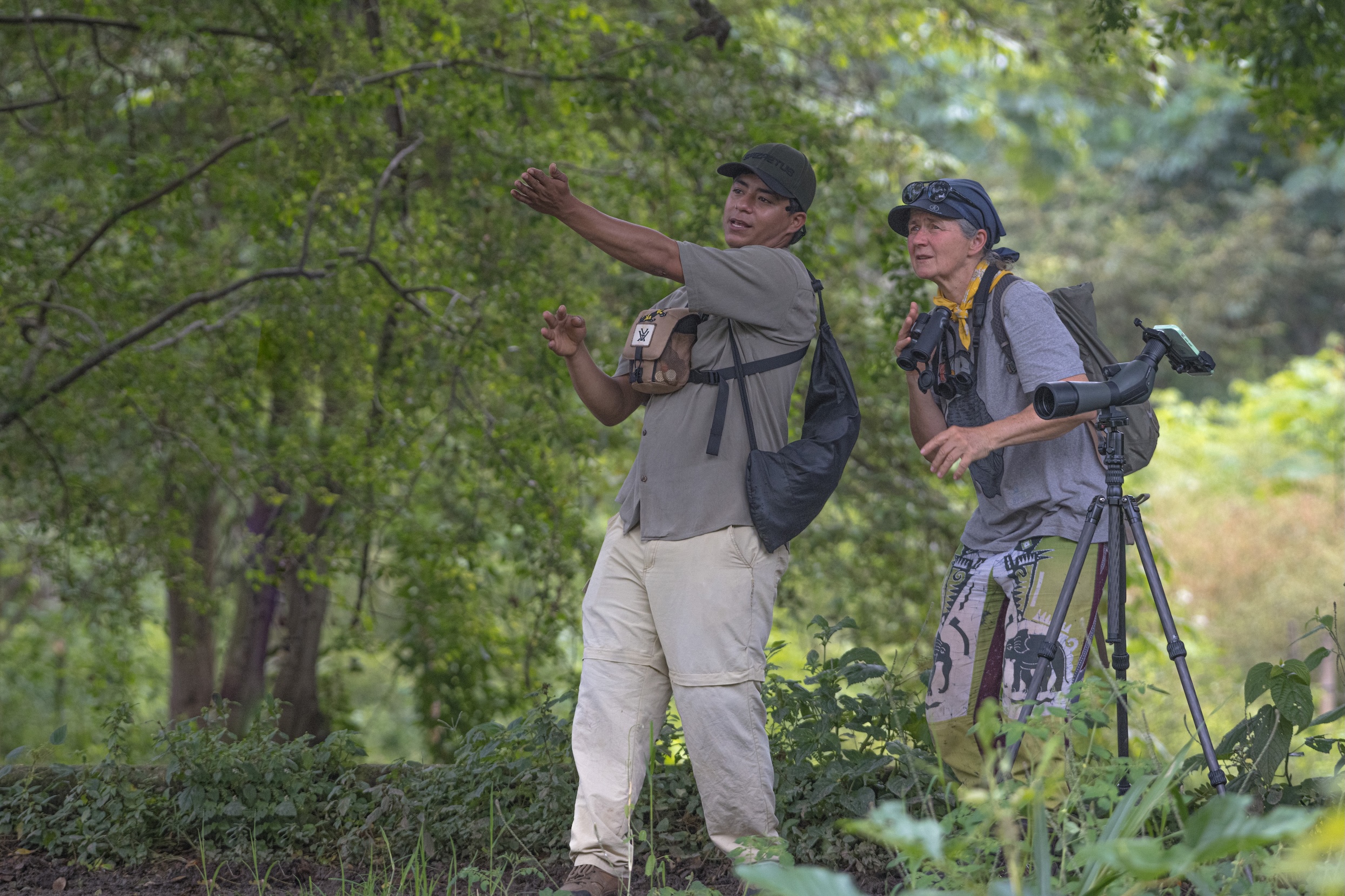 Birding and Harping
